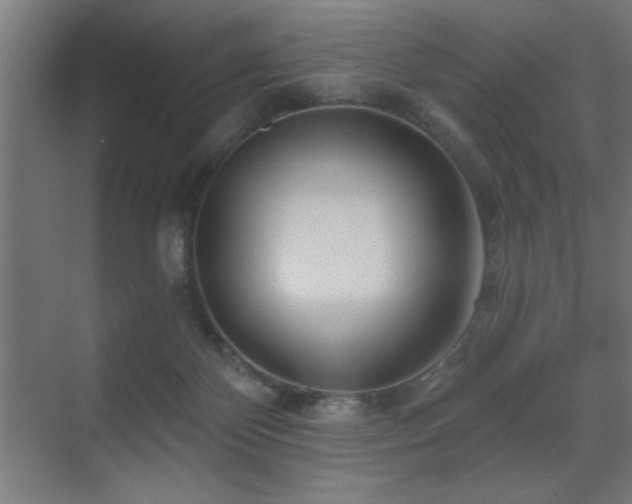 X0000071340124200606231148