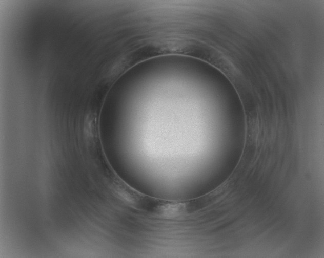 X0000071340126200606231148