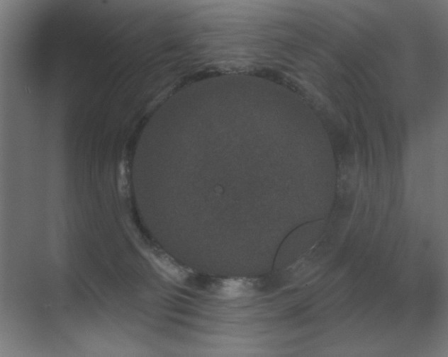 X0000071340130200606231148