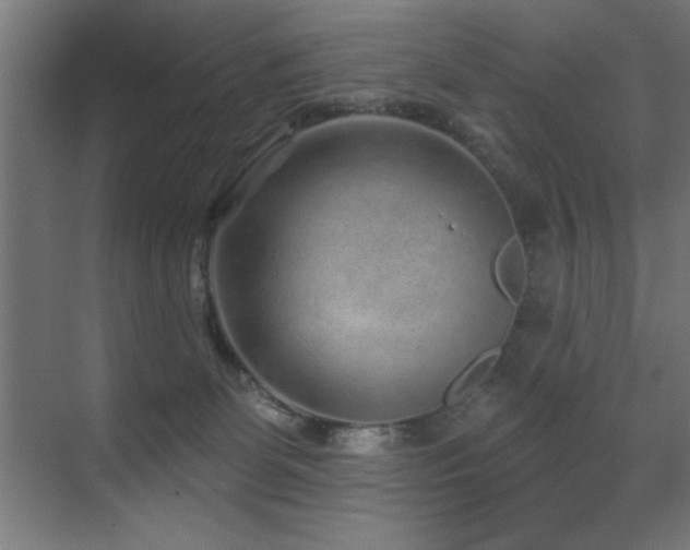 X0000071340131200606231148