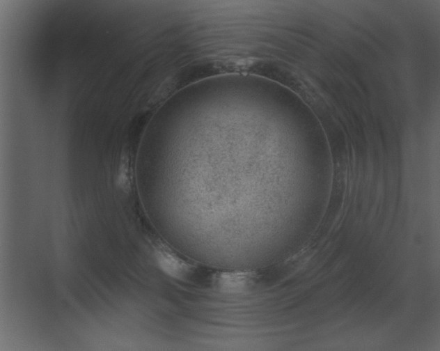 X0000071340134200606231148