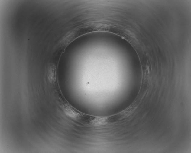 X0000071340138200606231148