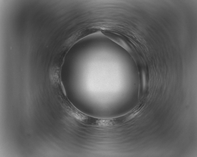 X0000071340141200606231148