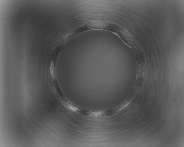 X0000071340143200606231148