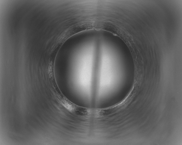 X0000071340144200606231148