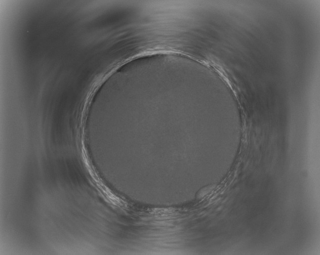 X0000071340145200606231147