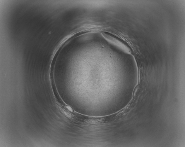 X0000071340147200606231147