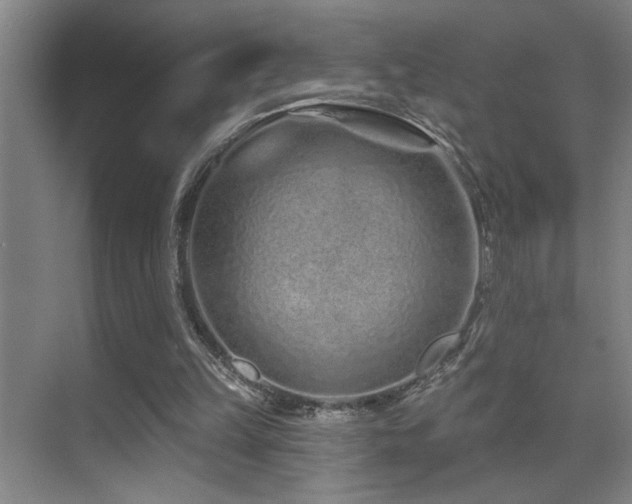 X0000071340149200606231147