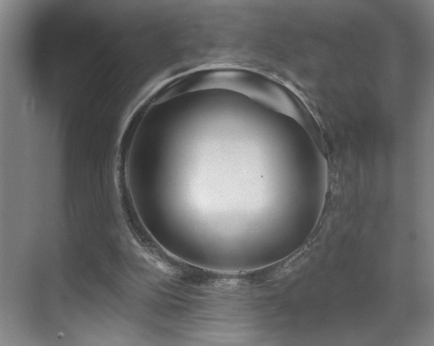 X0000071340152200606231147