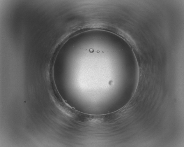 X0000071340155200606231147