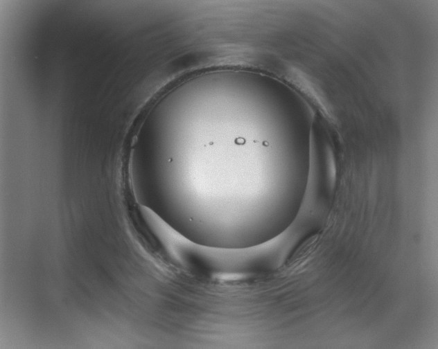 X0000071340156200606231147