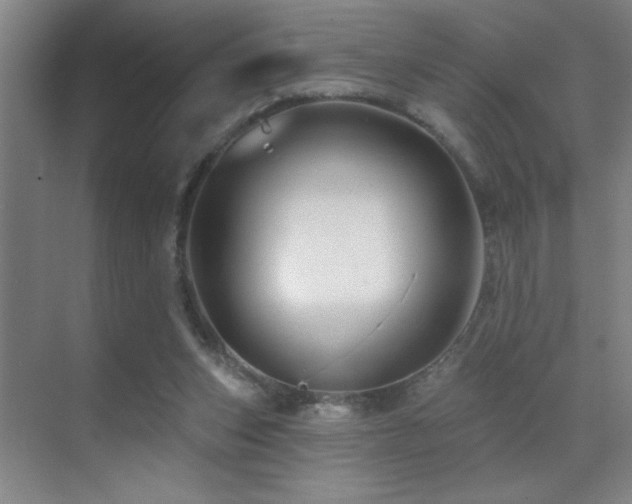 X0000071340159200606231147