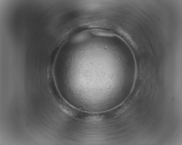 X0000071340161200606231147