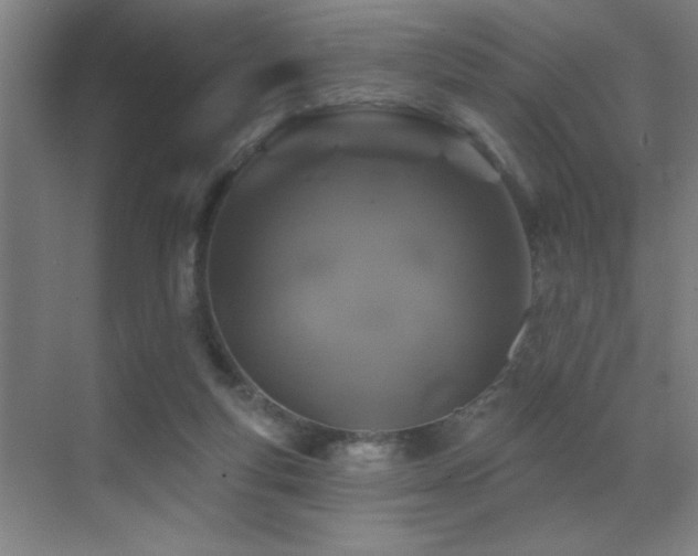 X0000071340163200606231147