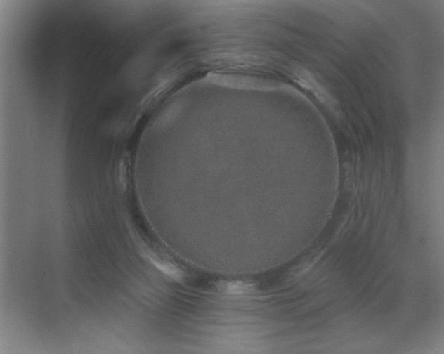 X0000071340165200606231147