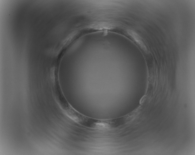 X0000071340167200606231147