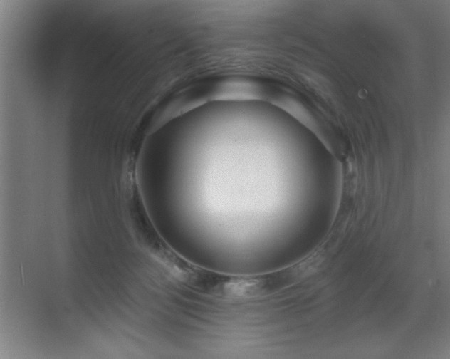 X0000071340172200606231147