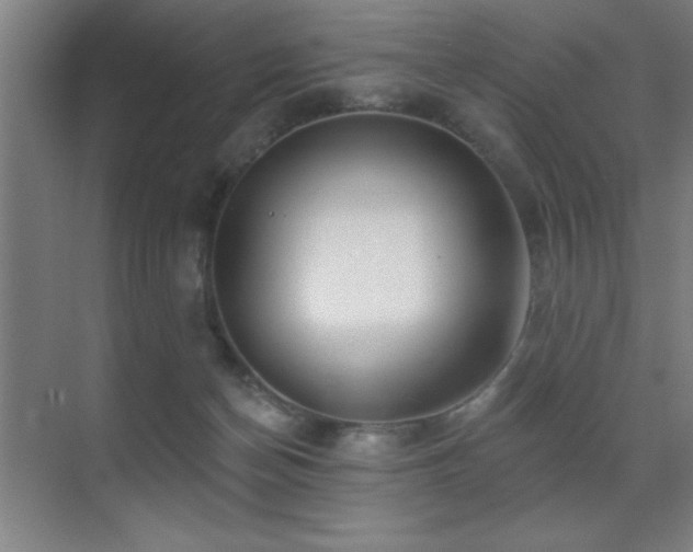 X0000071340174200606231147