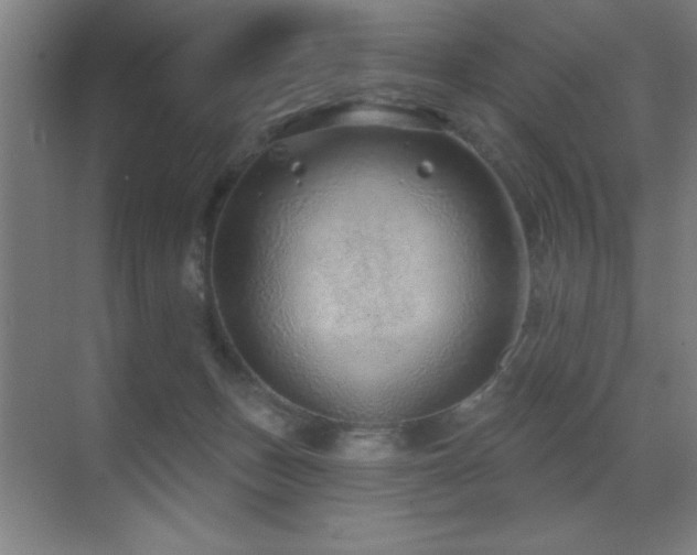 X0000071340175200606231147