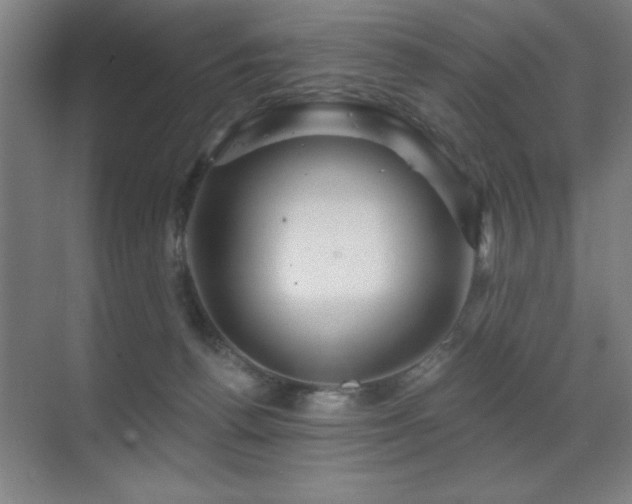 X0000071340176200606231147