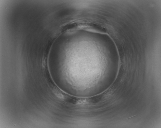 X0000071340177200606231147