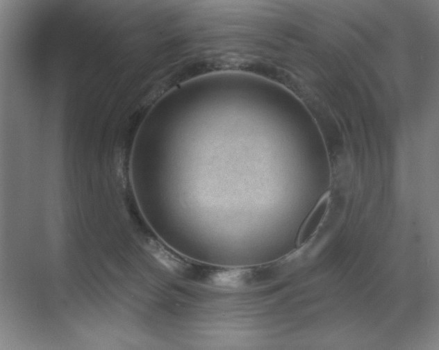 X0000071340178200606231147