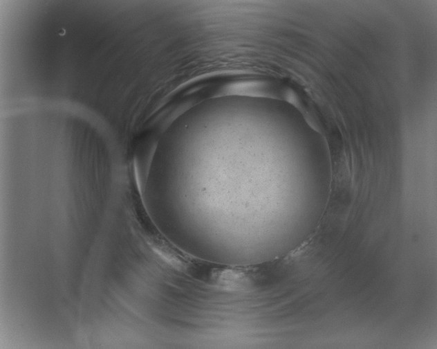 X0000071340180200606231147