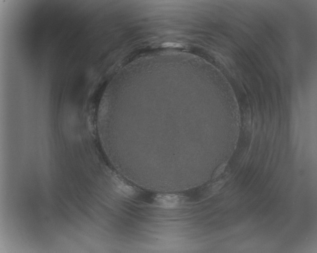 X0000071340181200606231147