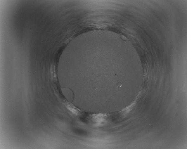 X0000071340182200606231147