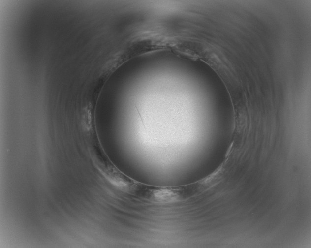 X0000071340183200606231147