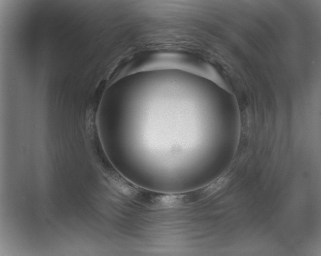 X0000071340184200606231148