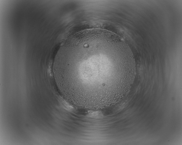 X0000071340185200606231148