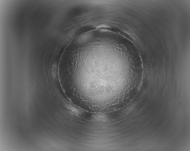 X0000071340189200606231148