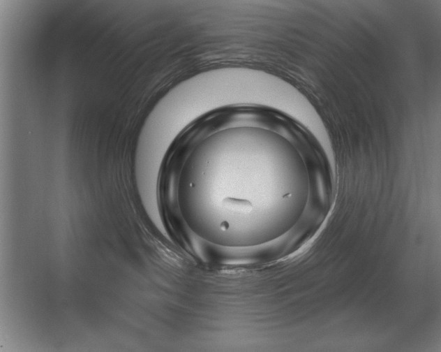 X0000071340190200606231148