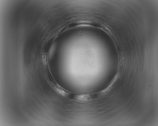 X0000071340191200606231148