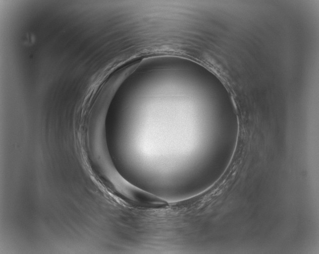 X0000071340193200606231147