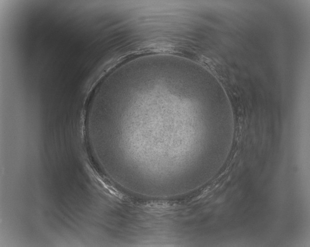 X0000071340194200606231147