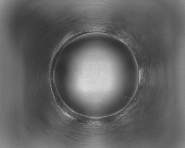 X0000071340195200606231147