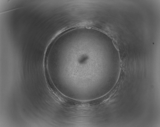 X0000071340196200606231147