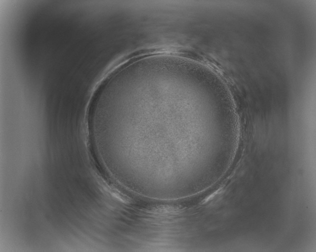 X0000071340198200606231147