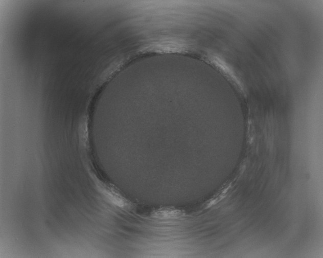 X0000071340202200606231147