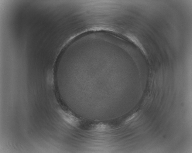 X0000071340204200606231147