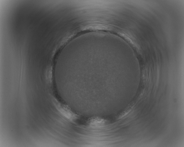 X0000071340206200606231147