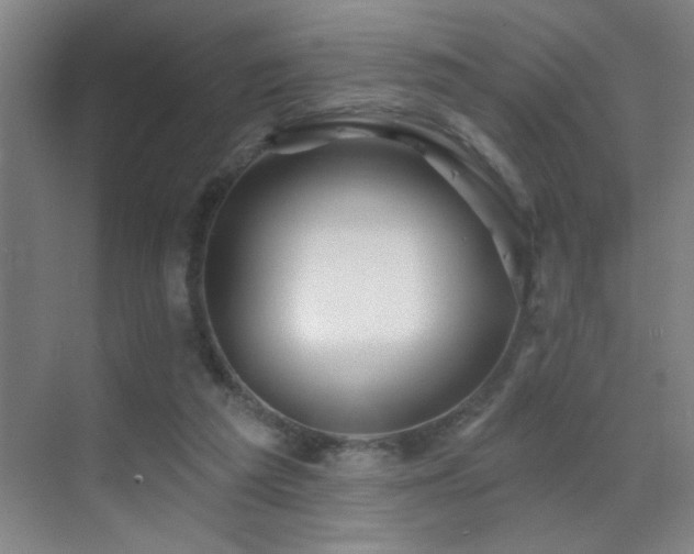 X0000071340209200606231147