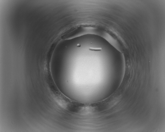 X0000071340212200606231147