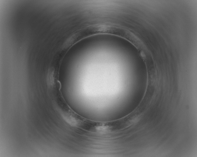 X0000071340216200606231146