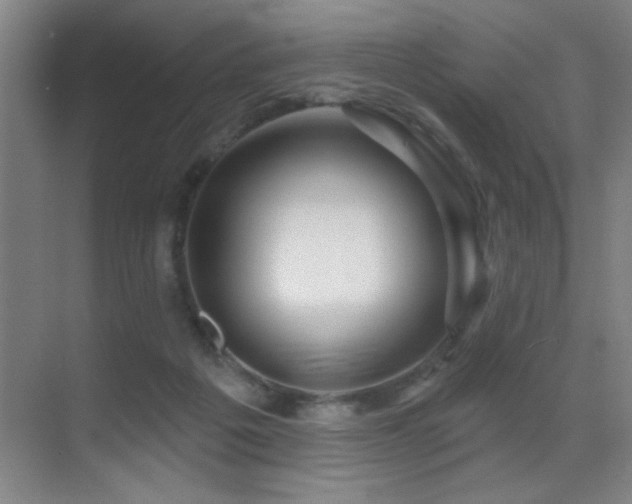 X0000071340217200606231146