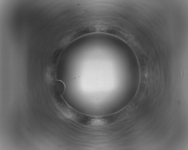 X0000071340218200606231146