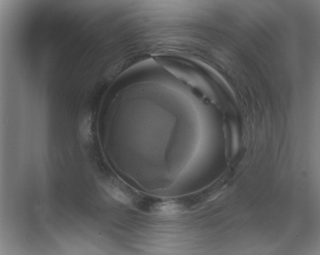 X0000071340219200606231146