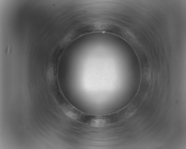 X0000071340220200606231146